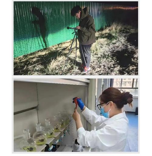 2025年西乌珠穆沁旗生态环境保护工作纪实 ∙ 生态环境监测篇